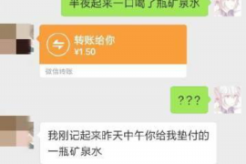 龙华如何避免债务纠纷？专业追讨公司教您应对之策